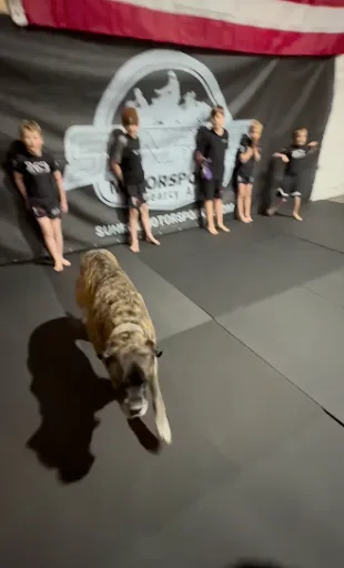 263 Grappling Club