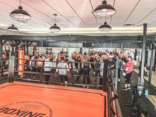 3P Boxing 247