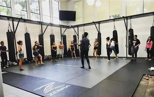 3SM Training & Programming