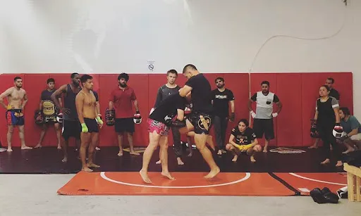 4 Elements MMA