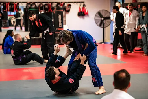 501 BJJ & Kickboxing (501 Martial Arts)