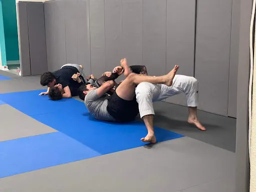719 Brazilian Jiu-Jitsu