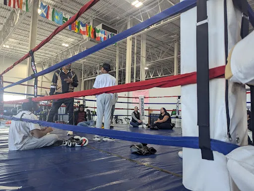 A1 Boxing Academy