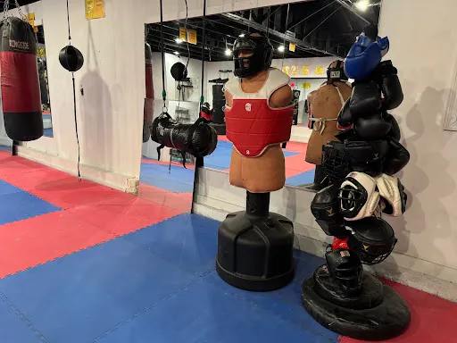 Abingdon Kickboxing and MMA