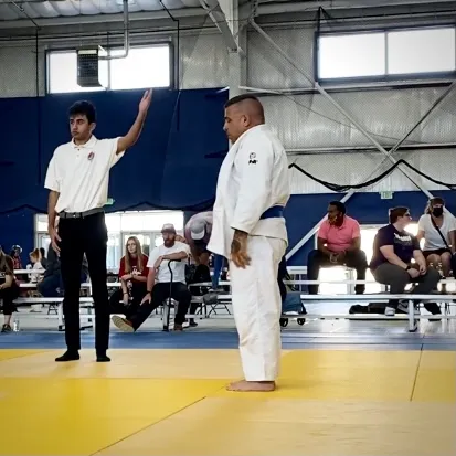 Absolute MMA