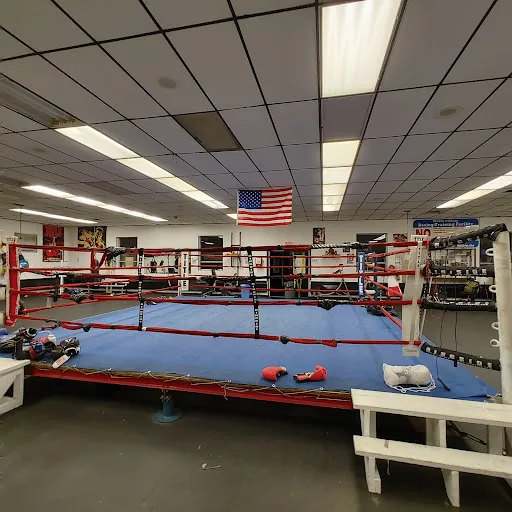 Albany Boxing