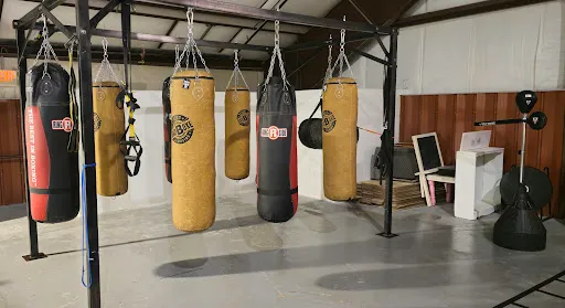 Alejandro Boxing LLC