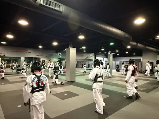 Ali’s Martial Arts ATA
