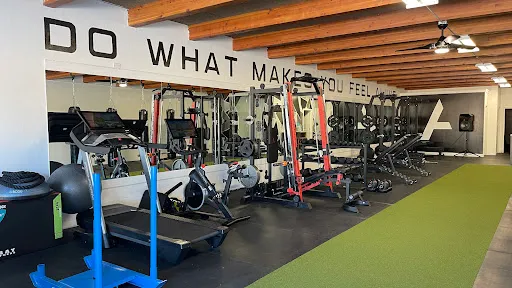Aliive Fitness