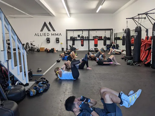 Allied MMA