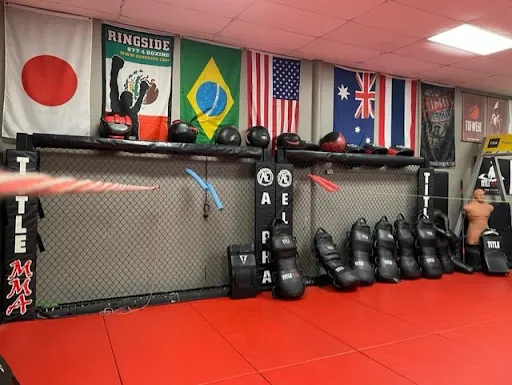Alpha Elite Academy