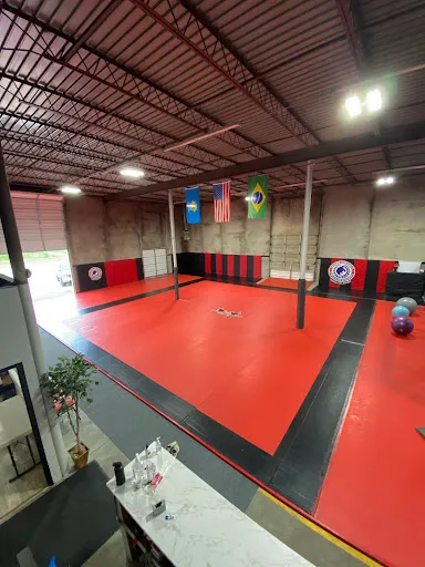 Alpha MMA/RCBJJ Lawton