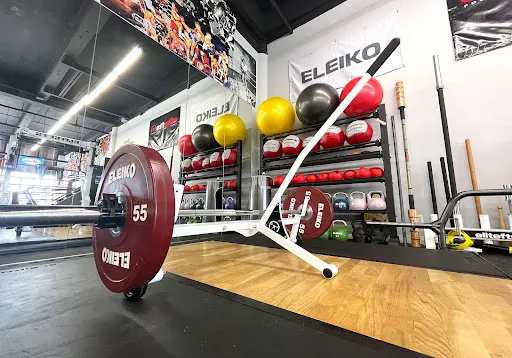 Alvarez Family Boxing