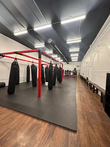 American Killer Bees Fitness