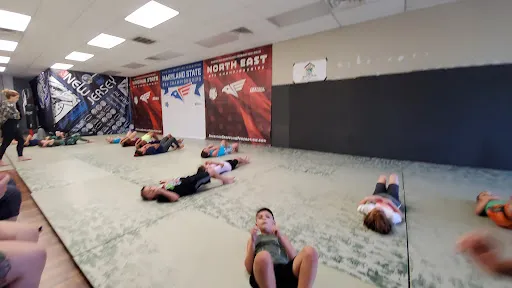 American Martial Arts Gym