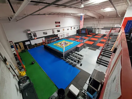 American Mixed Martial Arts