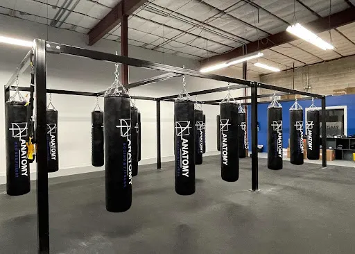 Anatomy Boxing & Fitness