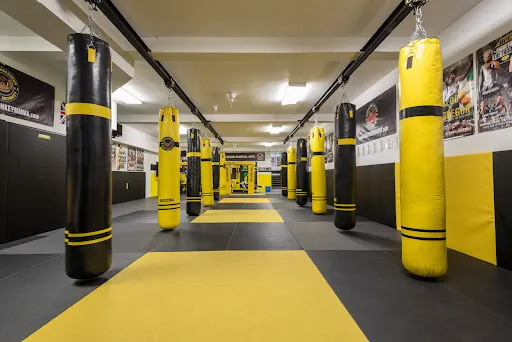 Angry Monkey MMA
