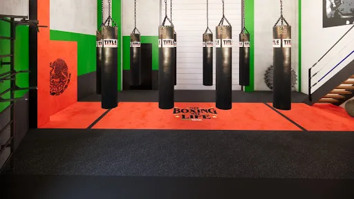 ANIMO Boxing & Mixed Martial Arts Gym