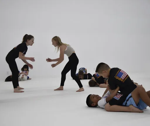 API Anderson Performance Institute
