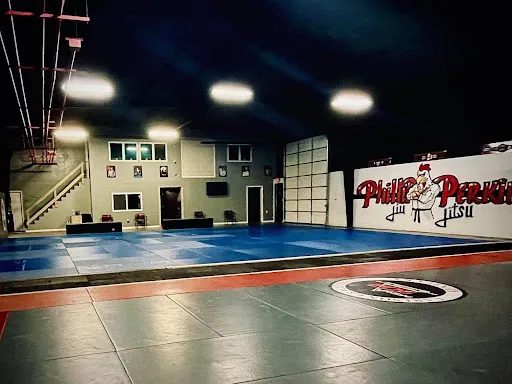 Area 502 MMA