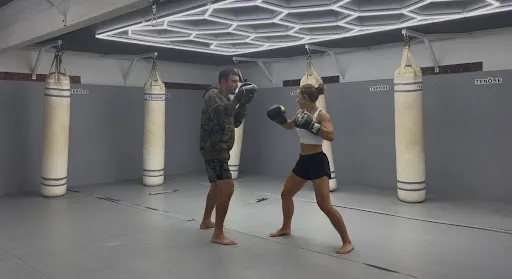 Art of Kickboxing