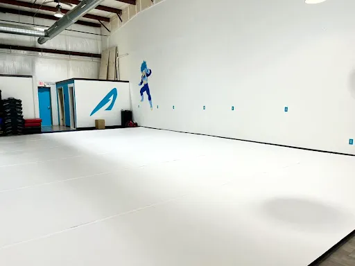 Ascension Martial Arts
