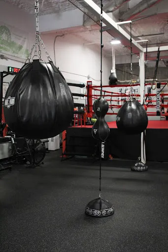 Austin Women's Boxing Club