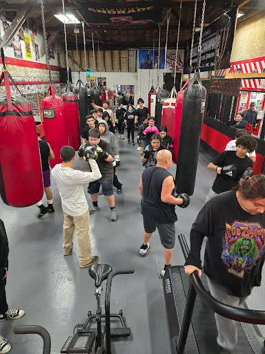 Avila ,Boxing
