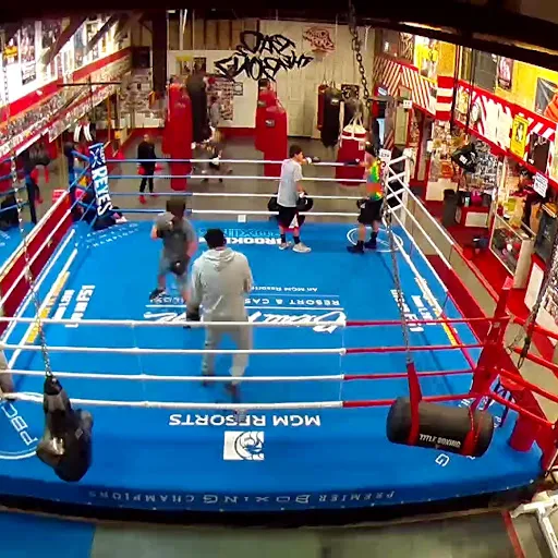BAD TO THE BONZ BOXING GYM