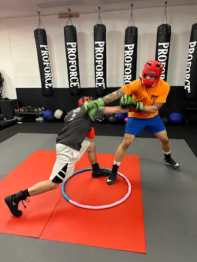 Bayonne Boxing
