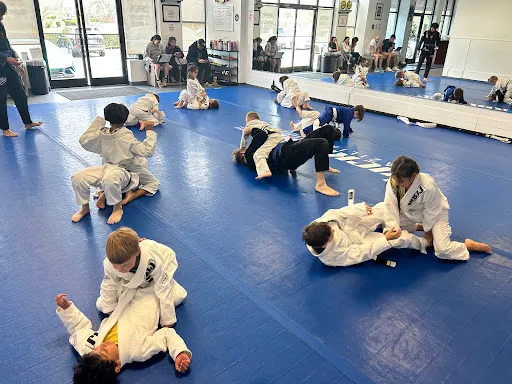 BC Kickboxing & BJJ Waxhaw