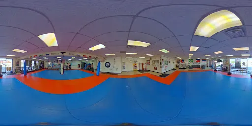 Bernales Institute of Martial Arts