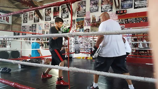 best boxing in Modesto
