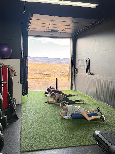 Big Dawg Fitness