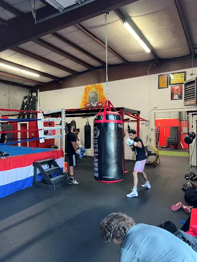 Black Belt Boxing Inc