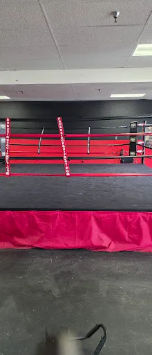 Black Lion MMA & Boxing