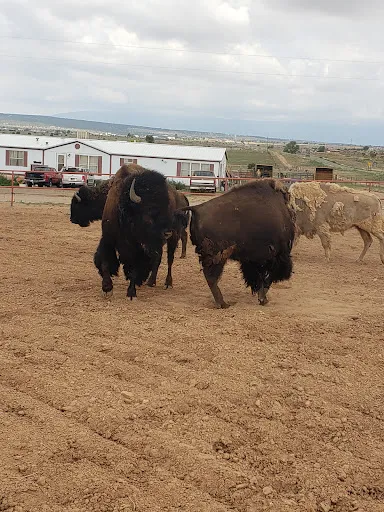 BMF Ranch