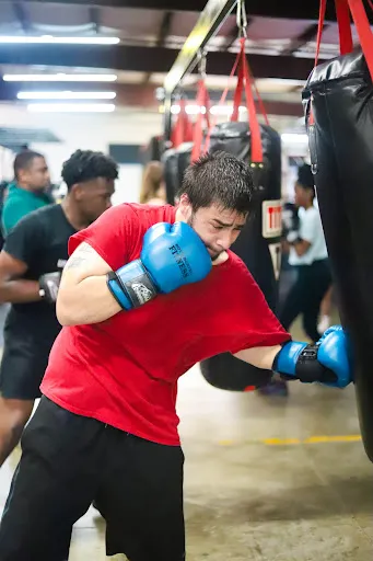 Bots Boxing