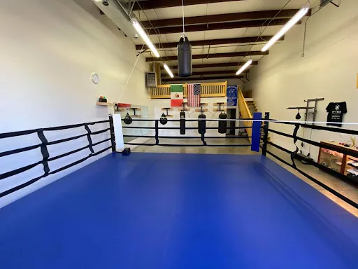 BoxFit Utah