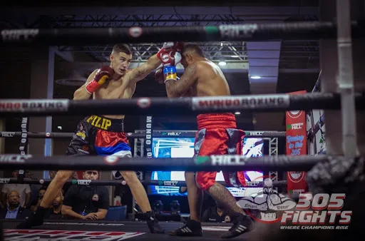 Boxing & Kickboxing “Stankovic”