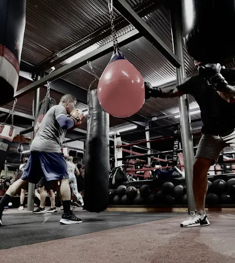 Boxing Miami