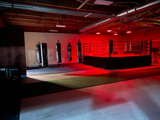 Boxing University Gym