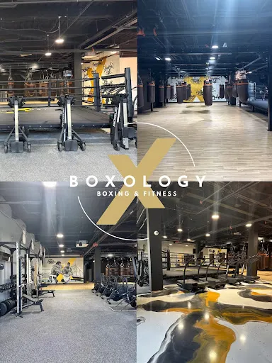 Boxology Boxing - Fitness - MMA