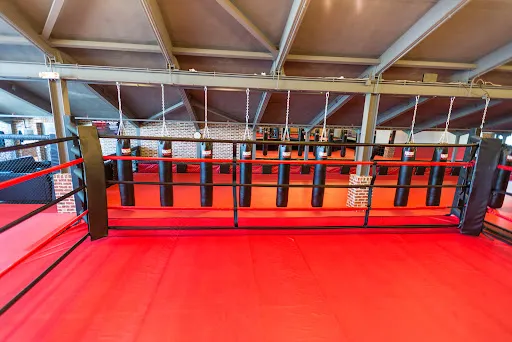 Brazilian Jiu-Jitsu Academy