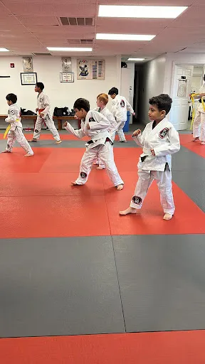 Brazilian Martial Arts Center