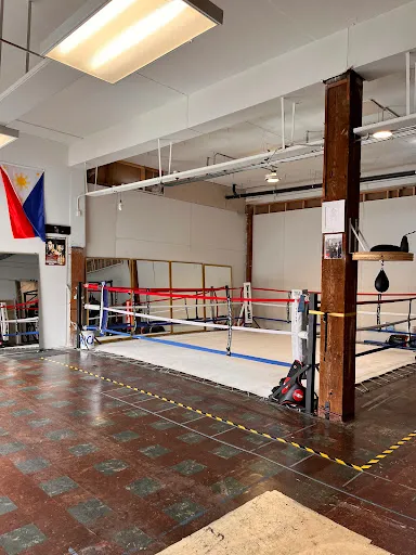 Brick3 boxing