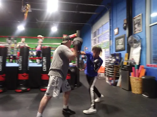 Bullz Boxing