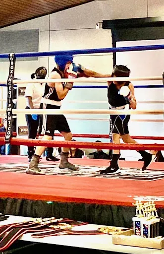 C & F Boxing LLC