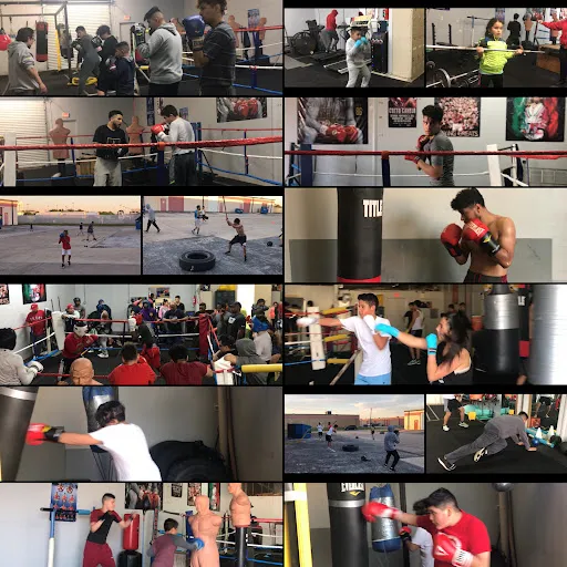 Captain's Battle Ring Boxing Gym